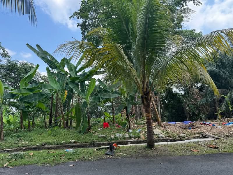 Tanah Kediaman untuk Dijual di Bukit Gasing (Petaling Jaya) - DANIEL . - PropertyGuru.com.my