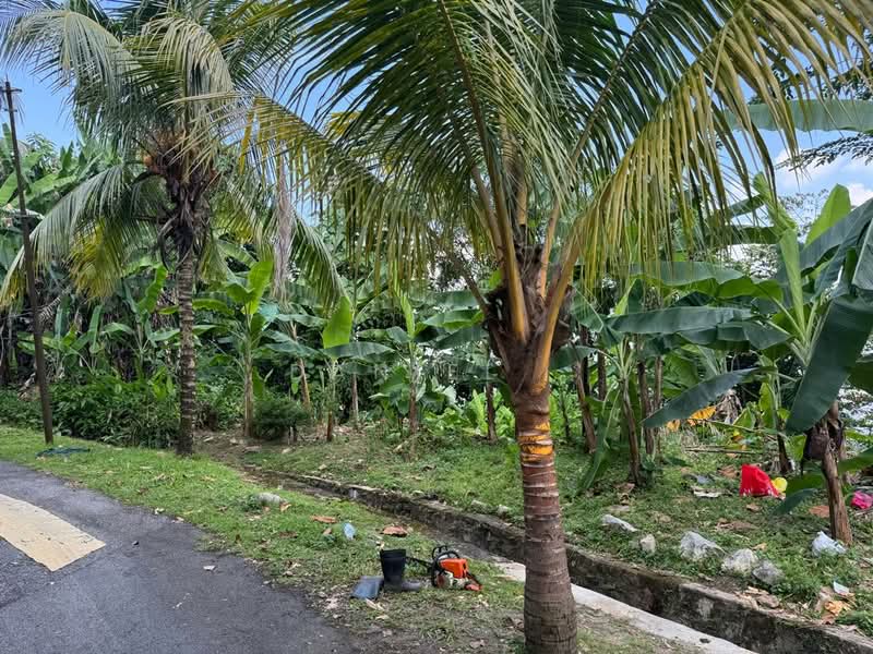 Tanah Kediaman untuk Dijual di Bukit Gasing (Petaling Jaya) - DANIEL . - PropertyGuru.com.my