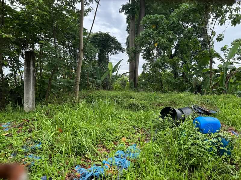 Residential Land for Sale in Bukit Gasing (Petaling Jaya) - DANIEL . - PropertyGuru.com.my