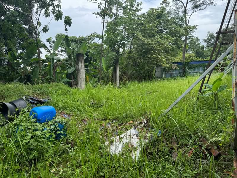 Residential Land for Sale in Bukit Gasing (Petaling Jaya) - DANIEL . - PropertyGuru.com.my