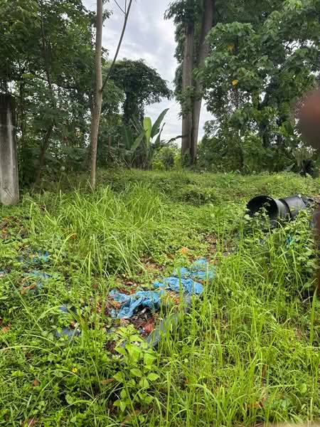Residential Land for Sale in Bukit Gasing (Petaling Jaya) - DANIEL . - PropertyGuru.com.my