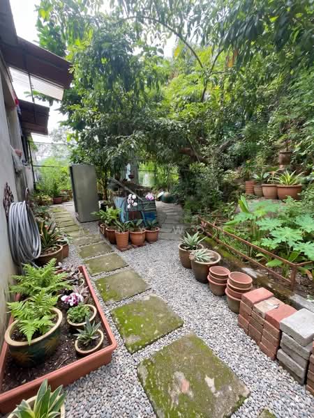 Rumah Berkembar untuk Dijual di Sungai Ara (Penang) - Fanny Wong - Garden - PropertyGuru.com.my