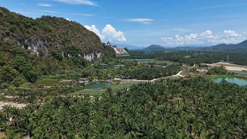 Tanah Pertanian untuk Dijual di Chemor (Perak) - Gary Tang - Exterior - PropertyGuru.com.my