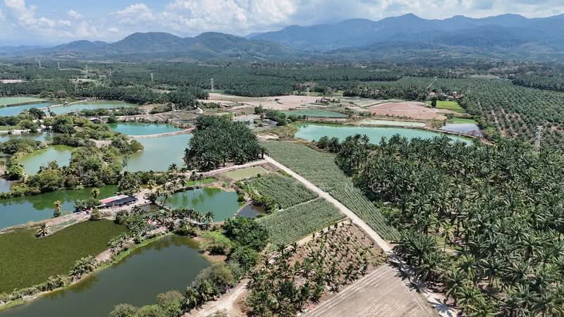 Tanah Pertanian untuk Dijual di Chemor (Perak) - Gary Tang - Exterior - PropertyGuru.com.my