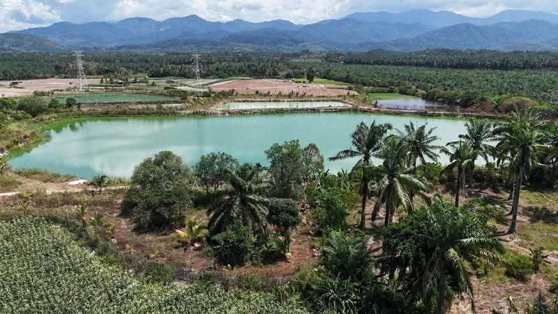 Tanah Pertanian untuk Dijual di Chemor (Perak) - Gary Tang - Exterior - PropertyGuru.com.my