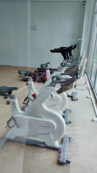 Apartment for Rent at Seri Molek Perdana - Izmaeljb . - Gym - PropertyGuru.com.my