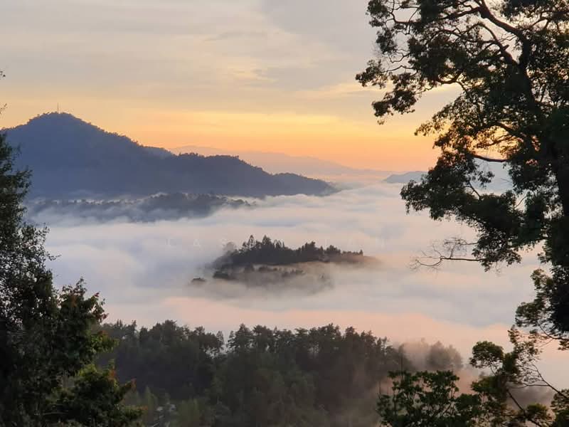 Residential Land for Sale in Bentong (Pahang) - Eason Tan - PropertyGuru.com.my
