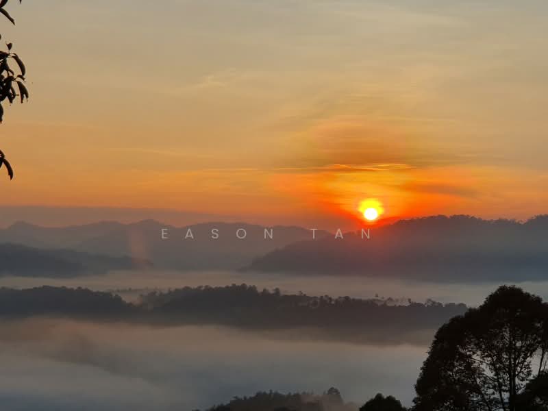 Residential Land for Sale in Bentong (Pahang) - Eason Tan - PropertyGuru.com.my
