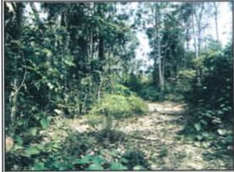 Tanah Pertanian untuk Dijual di Rawang (Selangor) - Eugene Yap - Exterior - PropertyGuru.com.my
