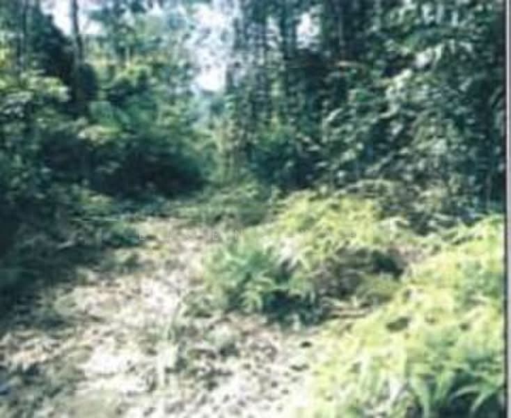 Tanah Pertanian untuk Dijual di Rawang (Selangor) - Eugene Yap - Exterior - PropertyGuru.com.my
