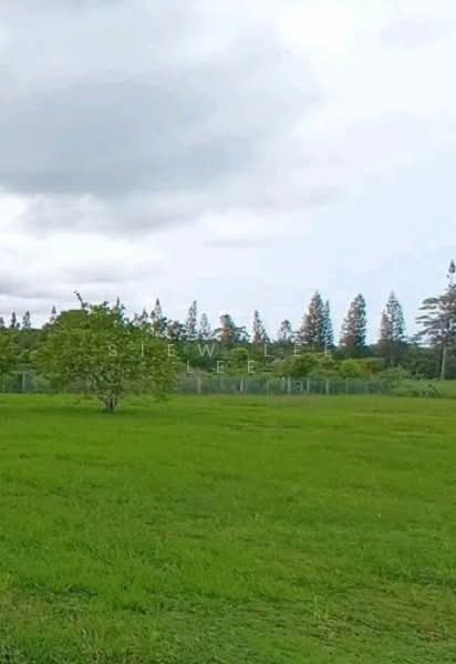 Tanah Kediaman untuk Dijual di Kuala Linggi (Melaka) - Siew Lee Lee - PropertyGuru.com.my