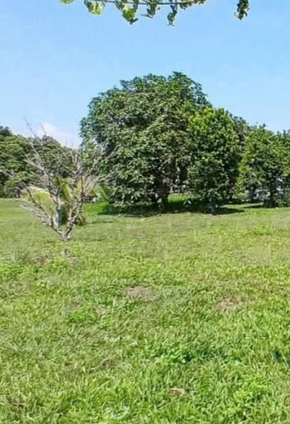 Tanah Kediaman untuk Dijual di Kuala Linggi (Melaka) - Siew Lee Lee - PropertyGuru.com.my