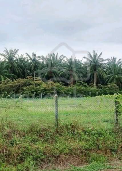 Tanah Kediaman untuk Dijual di Kuala Linggi (Melaka) - Siew Lee Lee - PropertyGuru.com.my