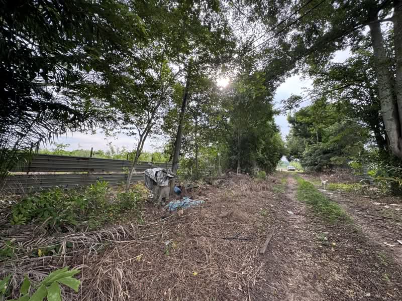 Tanah Pertanian untuk Disewa di Taman Mutiara Rini (Skudai) - Alan Ler - PropertyGuru.com.my