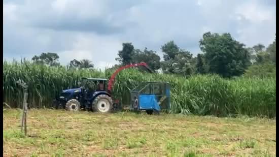 Agricultural Land for Sale in Jasin (Melaka) - Mahenthiran . - PropertyGuru.com.my
