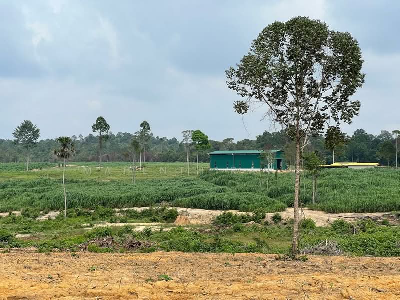 Agricultural Land for Sale in Jasin (Melaka) - Mahenthiran . - PropertyGuru.com.my