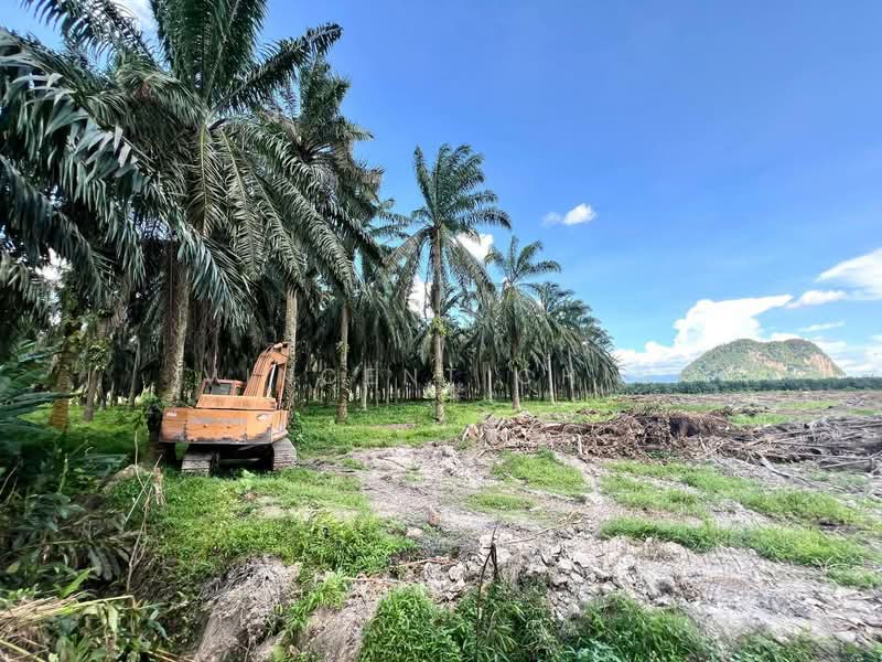 Tanah Pertanian untuk Dijual di Chemor (Perak) - Vincent Chin - Exterior - PropertyGuru.com.my