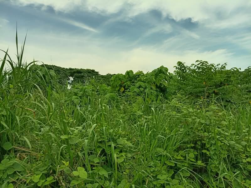 Tanah Pertanian untuk Dijual di Bukit Tengah (Bukit Mertajam) - Kelly Yee - Garden - PropertyGuru.com.my