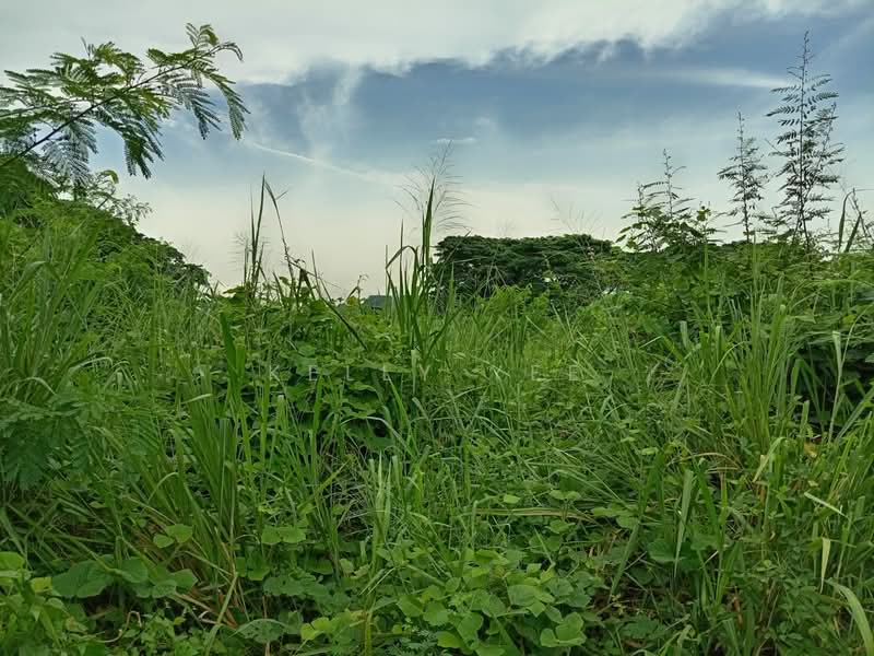 Tanah Pertanian untuk Dijual di Bukit Tengah (Bukit Mertajam) - Kelly Yee - Exterior - PropertyGuru.com.my
