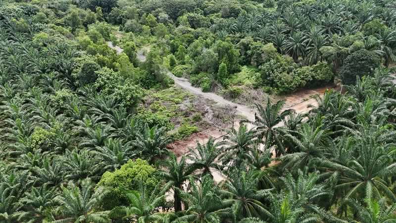 Residential Land for Sale in Dengkil (Selangor) - Izzah Alias - Exterior - PropertyGuru.com.my