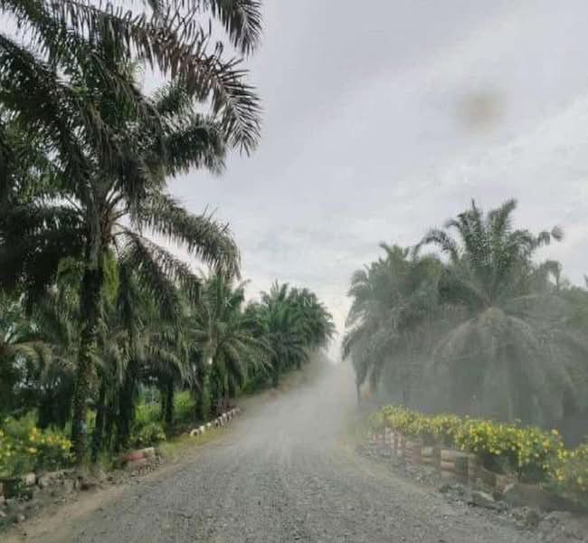 Agricultural Land for Sale in Sandakan (Sabah) - KC Ng - Exterior - PropertyGuru.com.my
