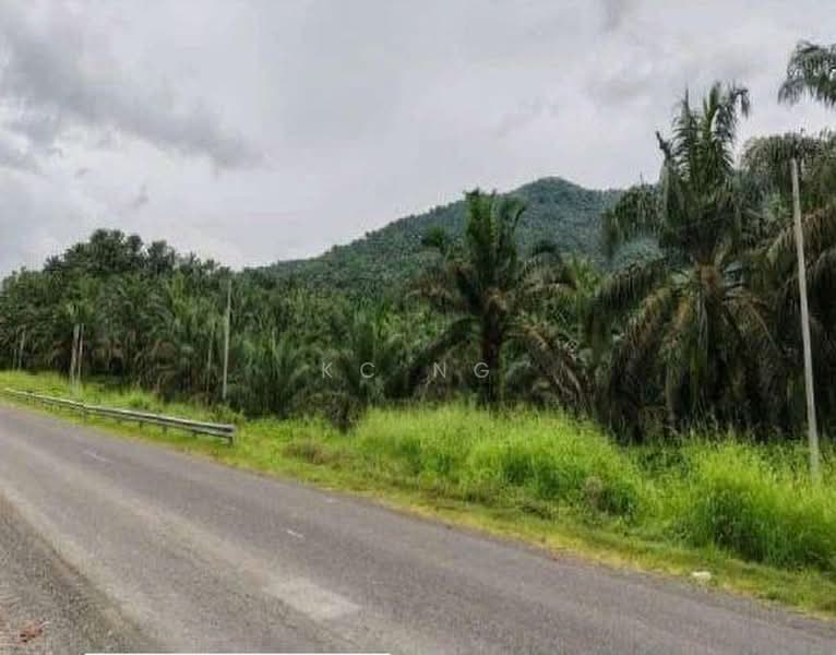 Agricultural Land for Sale in Sandakan (Sabah) - KC Ng - Exterior - PropertyGuru.com.my