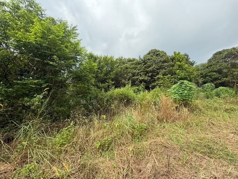Agricultural Land for Sale in Sungai Tiram (Ulu Tiram) - Amber Hew - Exterior - PropertyGuru.com.my