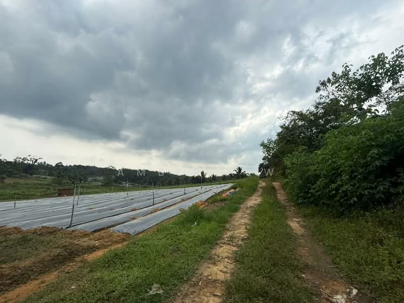 Agricultural Land for Sale in Sungai Tiram (Ulu Tiram) - Amber Hew - Exterior - PropertyGuru.com.my