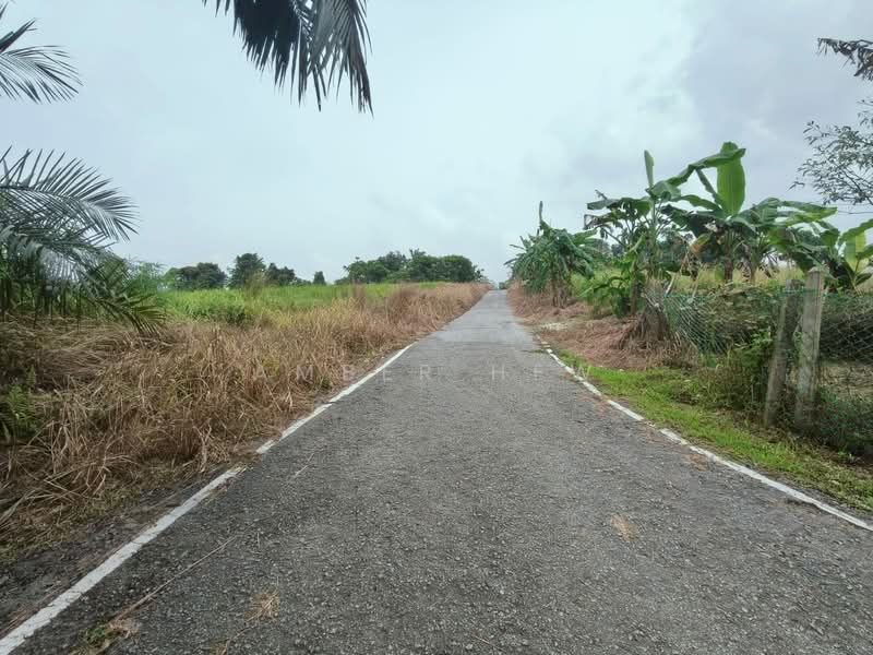 Agricultural Land for Sale in Sungai Tiram (Ulu Tiram) - Amber Hew - Exterior - PropertyGuru.com.my