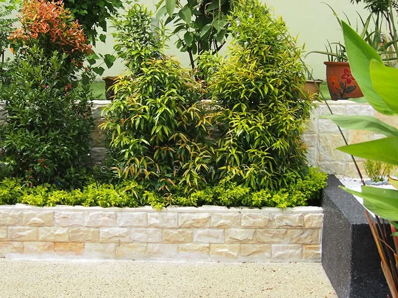 Bungalow for Sale in SS1 (Petaling Jaya) - Chelsea Tan - Garden - PropertyGuru.com.my