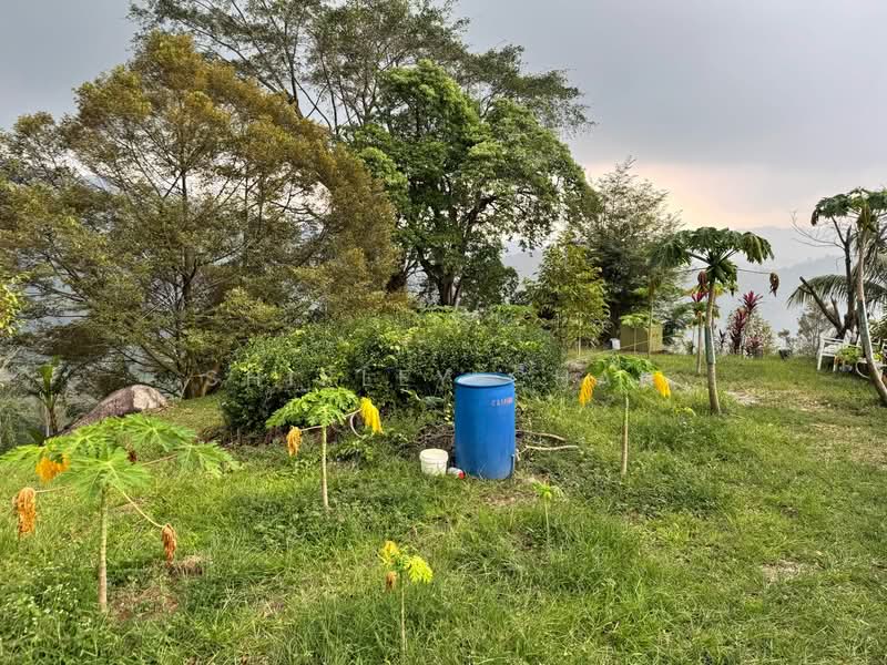 Tanah Pertanian untuk Dijual di Broga (Lenggeng) - Shirley Chan - Garden - PropertyGuru.com.my