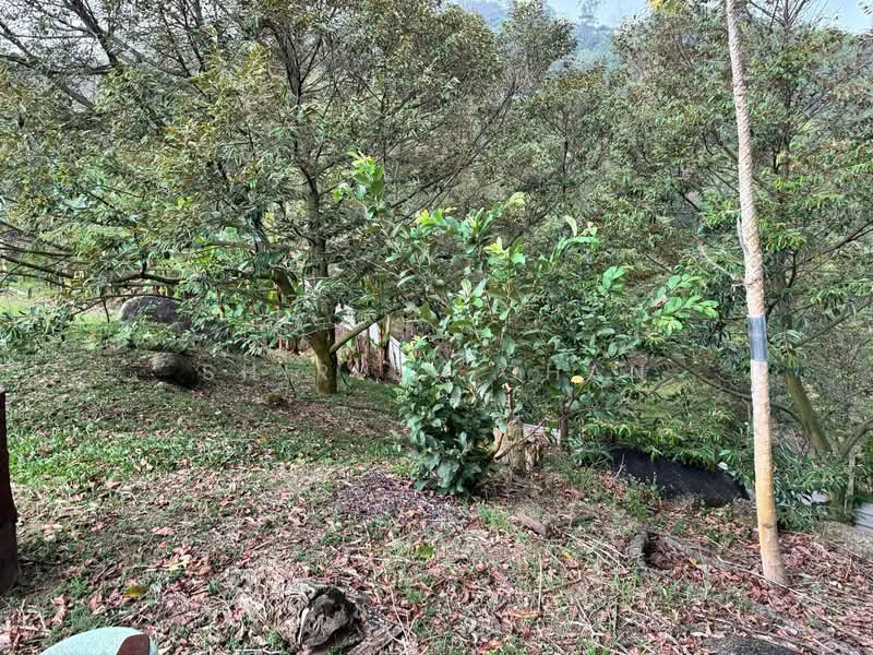Tanah Pertanian untuk Dijual di Broga (Lenggeng) - Shirley Chan - Garden - PropertyGuru.com.my