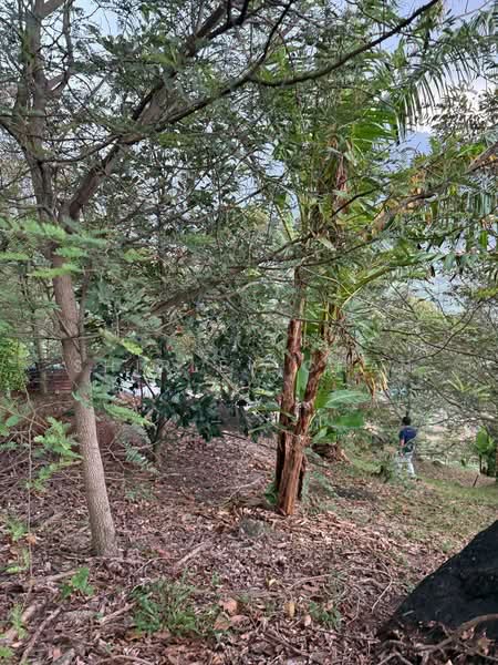 Tanah Pertanian untuk Dijual di Broga (Lenggeng) - Shirley Chan - Exterior - PropertyGuru.com.my