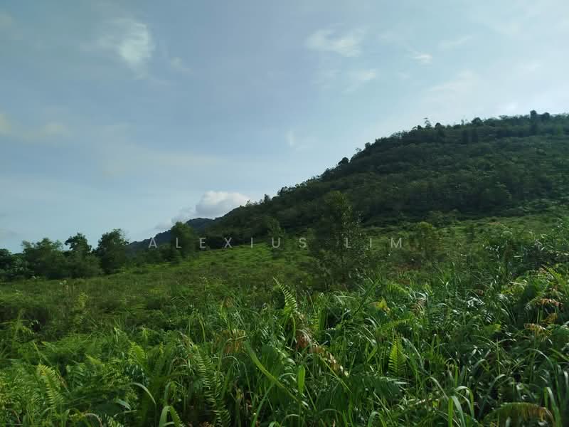 Agricultural Land for Sale in Pekan Nanas (Johor) - Alexius Lim - Exterior - PropertyGuru.com.my