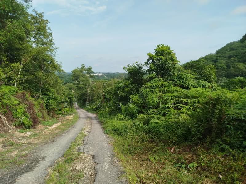 Agricultural Land for Sale in Pekan Nanas (Johor) - Alexius Lim - Exterior - PropertyGuru.com.my