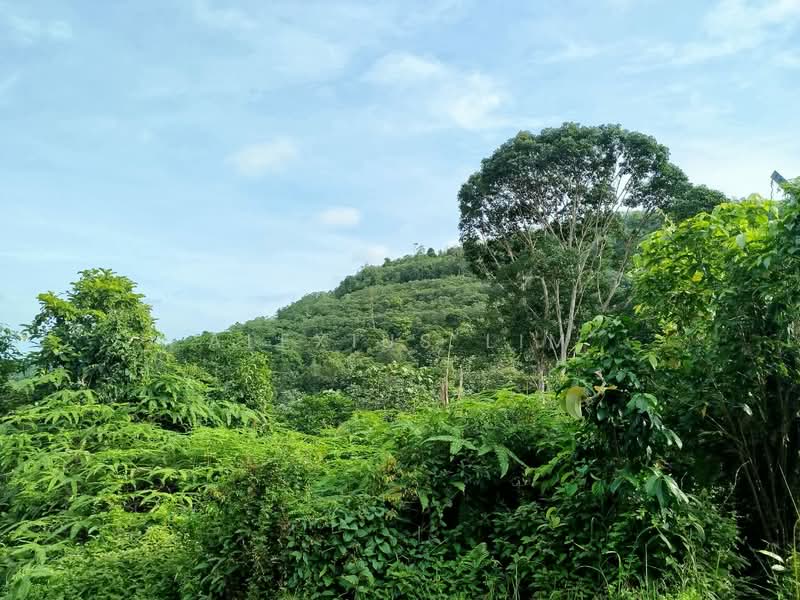 Agricultural Land for Sale in Pekan Nanas (Johor) - Alexius Lim - Exterior - PropertyGuru.com.my