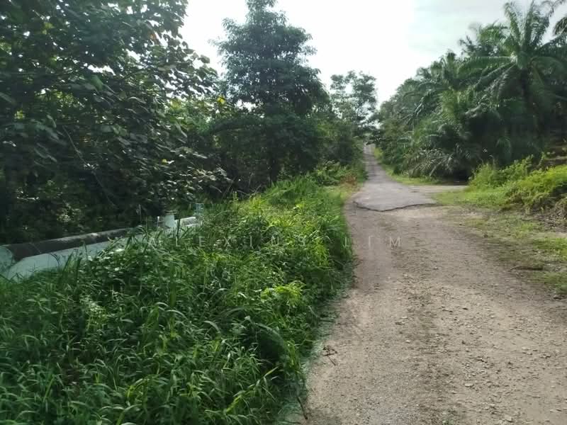 Agricultural Land for Sale in Pekan Nanas (Johor) - Alexius Lim - Exterior - PropertyGuru.com.my