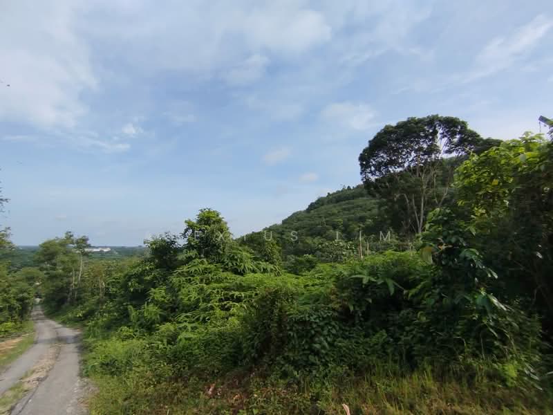 Agricultural Land for Sale in Pekan Nanas (Johor) - Alexius Lim - Exterior - PropertyGuru.com.my
