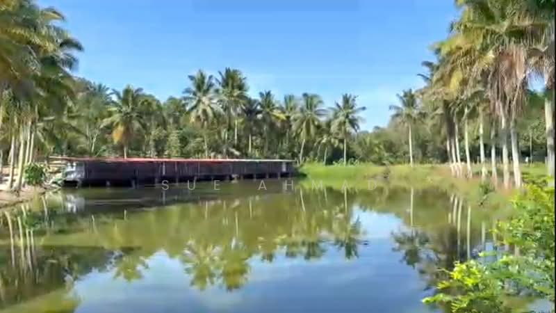 Agricultural Land for Sale in Kerling (Selangor) - Sue Ahmad - Exterior - PropertyGuru.com.my
