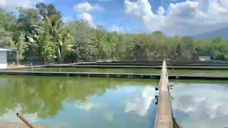 Agricultural Land for Sale in Kerling (Selangor) - Sue Ahmad - Exterior - PropertyGuru.com.my