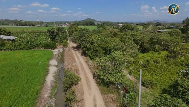 Agricultural Land for Sale in Permatang Pauh (Penang) - Nizam Zakaria - Exterior - PropertyGuru.com.my