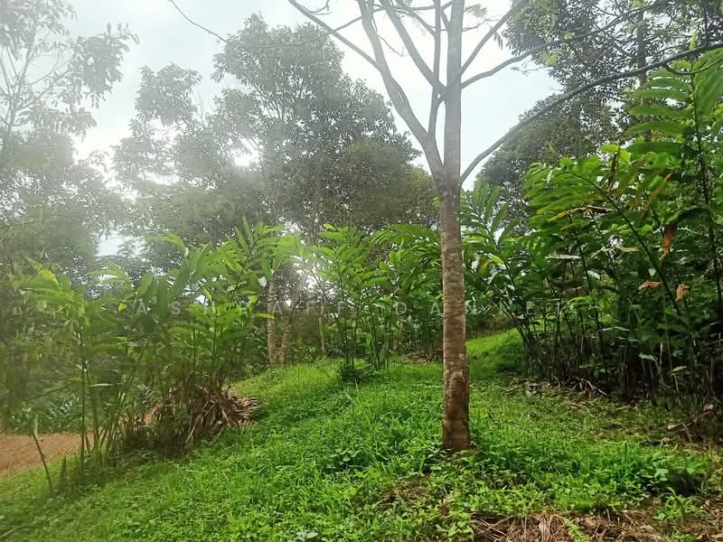 Tanah Pertanian untuk Dijual di Hulu Langat (Selangor) - Ashraff Daniel - Garden - PropertyGuru.com.my