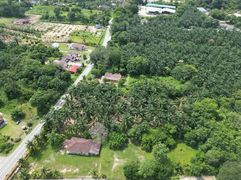 Agricultural Land for Sale in Masjid Tanah (Melaka) - Mohd Faizal - Exterior - PropertyGuru.com.my