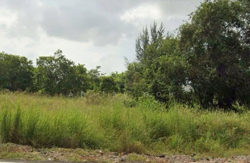 Tanah Pertanian untuk Disewa di Bandar Penawar (Kota Tinggi) - Ah Tee Goh - PropertyGuru.com.my