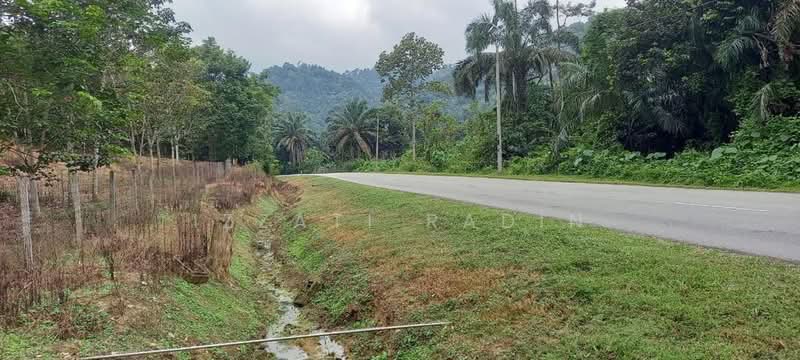 Agricultural Land for Sale in Bentong (Pahang) - Izzati Radin - front road - PropertyGuru.com.my