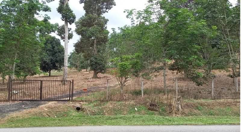 Agricultural Land for Sale in Bentong (Pahang) - Izzati Radin - Gated - PropertyGuru.com.my