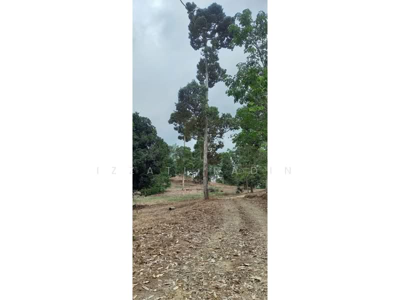 Agricultural Land for Sale in Bentong (Pahang) - Izzati Radin - PropertyGuru.com.my