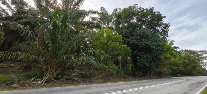 Tanah Pertanian untuk Dijual di Senai (Kulai) - Danny See - Exterior - PropertyGuru.com.my