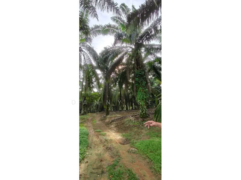 Tanah Pertanian untuk Dijual di Senai (Kulai) - Danny See - Exterior - PropertyGuru.com.my