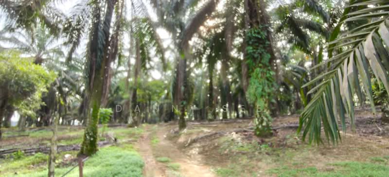 Tanah Pertanian untuk Dijual di Senai (Kulai) - Danny See - Garden - PropertyGuru.com.my